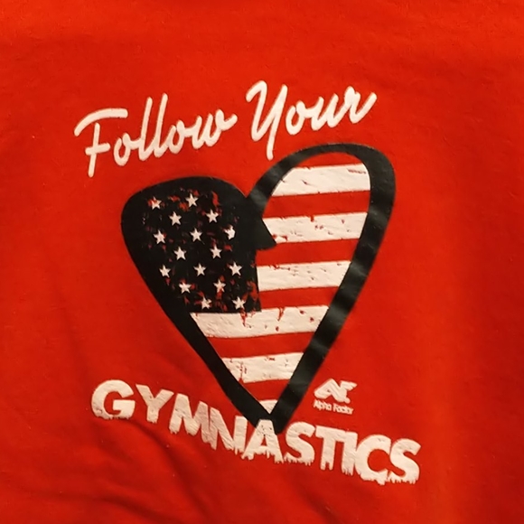 Alpha Factor Gymnastics Hoodie- LY - Picture 2 of 6